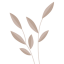 Kundenlogo von der Webagentur Ulm